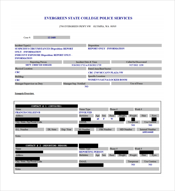 sample police report template