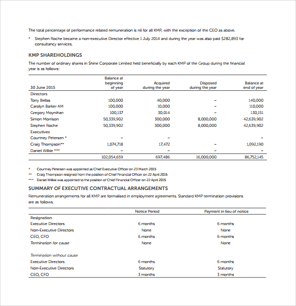 annual financial report template pdf
