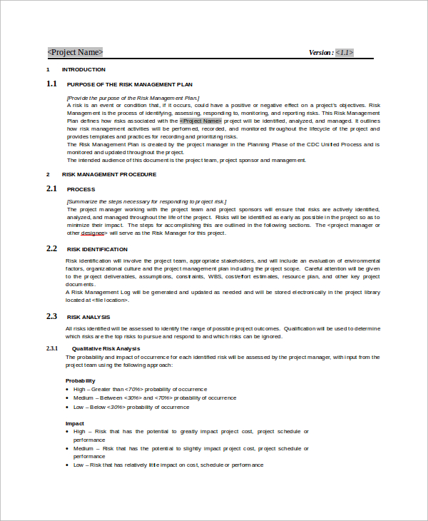 sample risk management plan