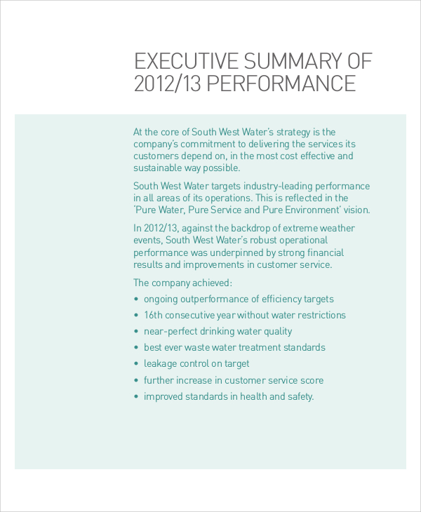 sample company performance report