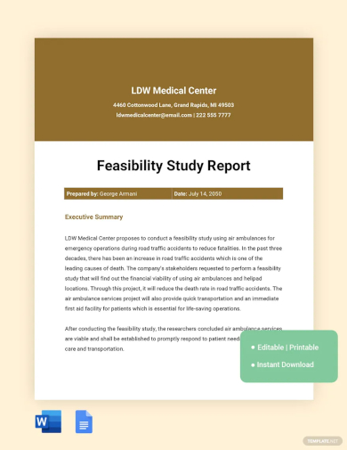 feasibility study report template