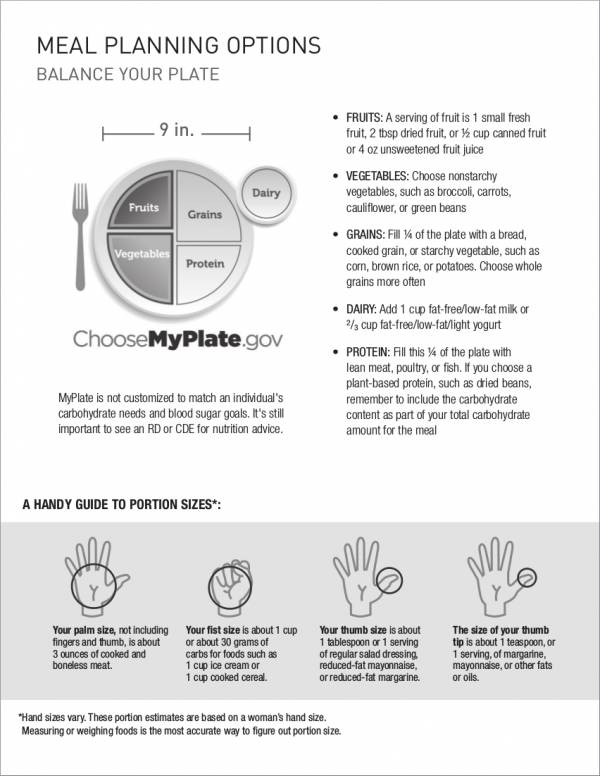 daily diabetes meal planner sample and guide