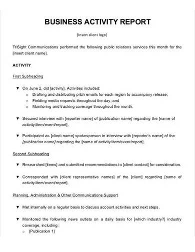 basic business activity report