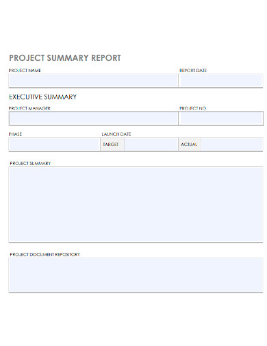 printable project summary report