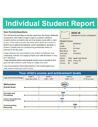 printable individual student report