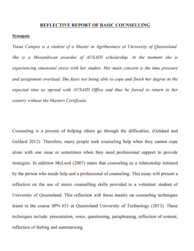student counseling reflective report