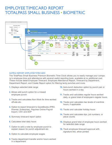 employee timecard report