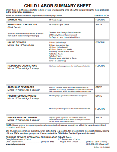 child labor summary sheet template